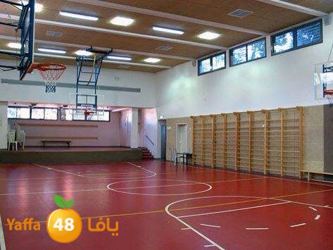 vaitsman schollla (3).JPG